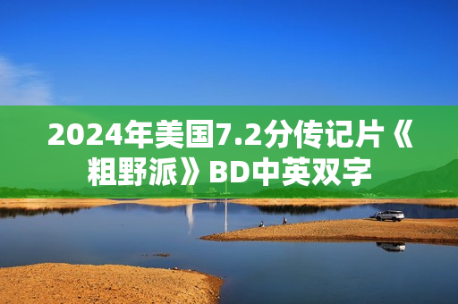 2024年美国7.2分传记片《粗野派》BD中英双字