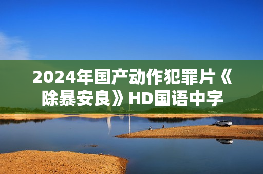 2024年国产动作犯罪片《除暴安良》HD国语中字
