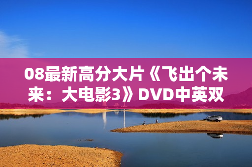 08最新高分大片《飞出个未来：大电影3》DVD中英双字