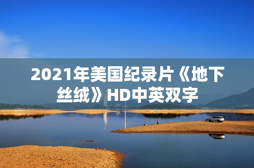 2021年美国纪录片《地下丝绒》HD中英双字
