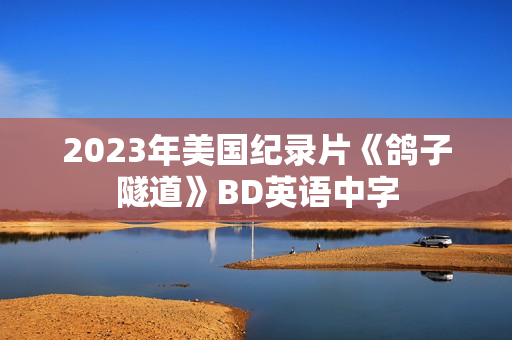 2023年美国纪录片《鸽子隧道》BD英语中字