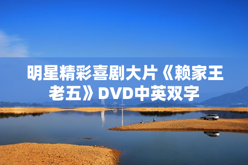 明星精彩喜剧大片《赖家王老五》DVD中英双字