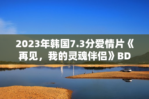 2023年韩国7.3分爱情片《再见，我的灵魂伴侣》BD韩语中字