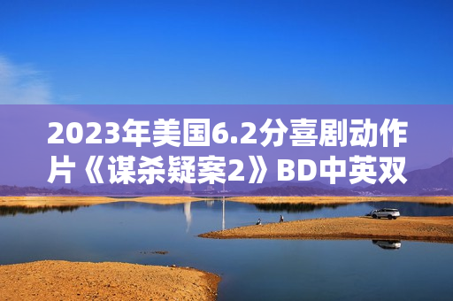 2023年美国6.2分喜剧动作片《谋杀疑案2》BD中英双字