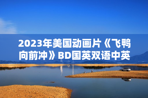 2023年美国动画片《飞鸭向前冲》BD国英双语中英双字