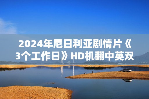 2024年尼日利亚剧情片《3个工作日》HD机翻中英双字