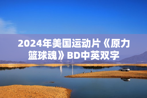2024年美国运动片《原力篮球魂》BD中英双字