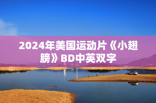 2024年美国运动片《小翅膀》BD中英双字