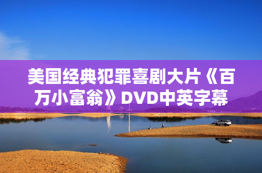 美国经典犯罪喜剧大片《百万小富翁》DVD中英字幕