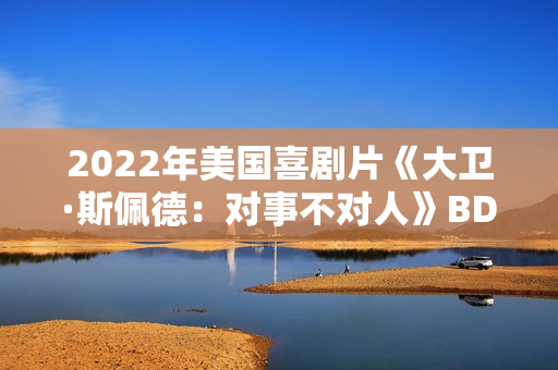 2022年美国喜剧片《大卫·斯佩德：对事不对人》BD英语中字