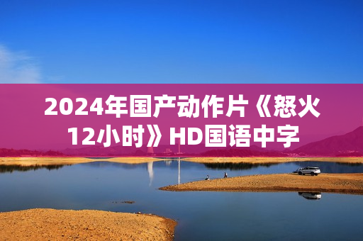 2024年国产动作片《怒火12小时》HD国语中字