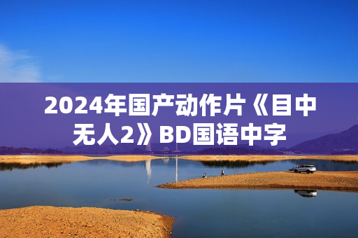 2024年国产动作片《目中无人2》BD国语中字