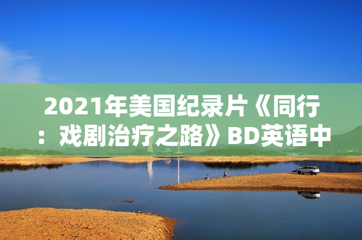 2021年美国纪录片《同行：戏剧治疗之路》BD英语中字