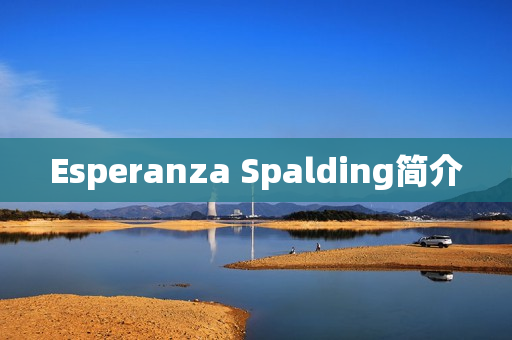 Esperanza Spalding简介 Esperanza Spalding简介
