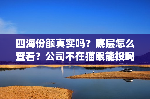 四海份额真实吗？底层怎么查看？公司不在猫眼能投吗？(四海值得投资吗)