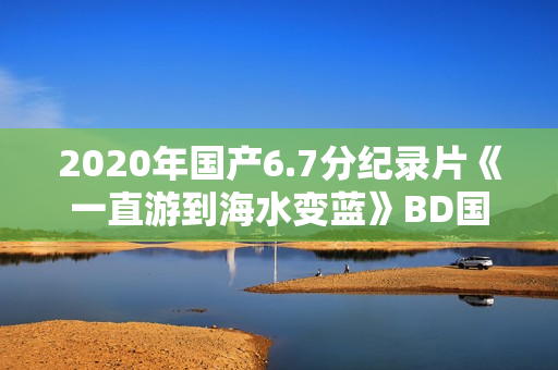 2020年国产6.7分纪录片《一直游到海水变蓝》BD国语中字