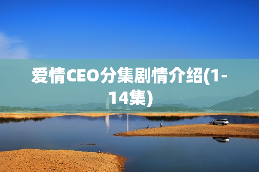 爱情CEO分集剧情介绍(1-14集)