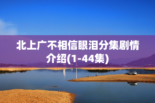 北上广不相信眼泪分集剧情介绍(1-44集)