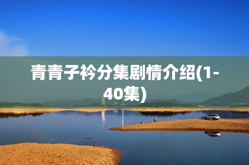 青青子衿分集剧情介绍(1-40集)