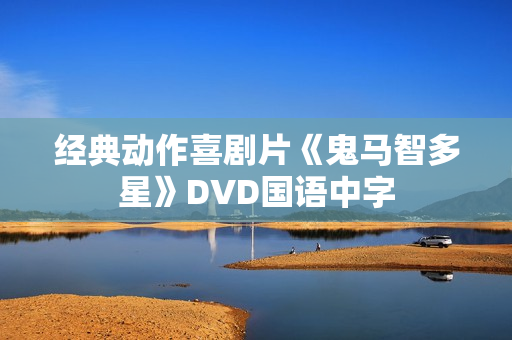 经典动作喜剧片《鬼马智多星》DVD国语中字 经典动作喜剧片《鬼马智多星》DVD国语中字