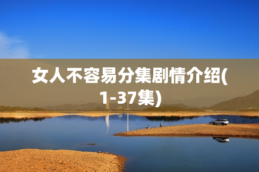 女人不容易分集剧情介绍(1-37集)