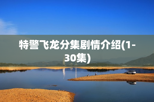 特警飞龙分集剧情介绍(1-30集)