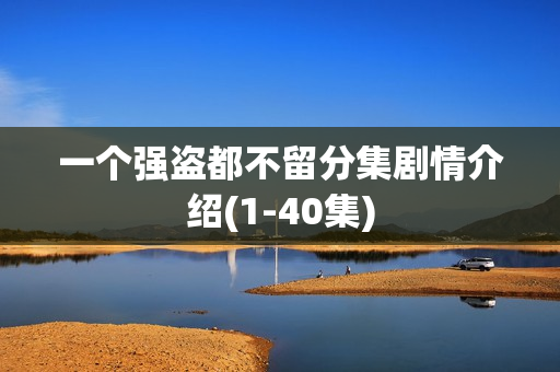 一个强盗都不留分集剧情介绍(1-40集)