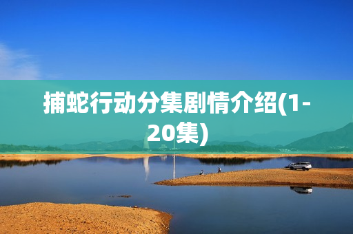 捕蛇行动分集剧情介绍(1-20集)