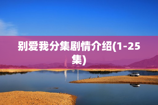 别爱我分集剧情介绍(1-25集)