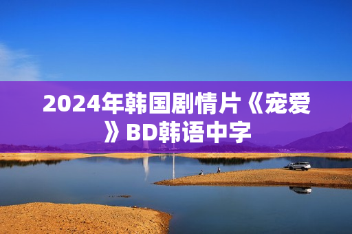 2024年韩国剧情片《宠爱》BD韩语中字