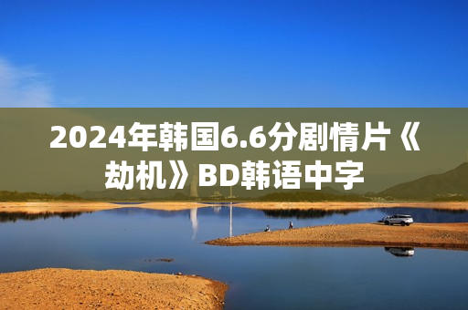 2024年韩国6.6分剧情片《劫机》BD韩语中字