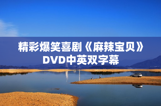 精彩爆笑喜剧《麻辣宝贝》DVD中英双字幕