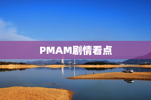 PMAM剧情看点
