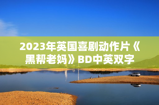 2023年英国喜剧动作片《黑帮老妈》BD中英双字