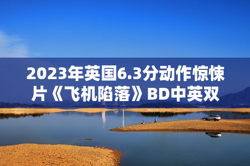2023年英国6.3分动作惊悚片《飞机陷落》BD中英双字