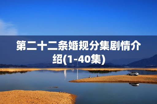 第二十二条婚规分集剧情介绍(1-40集)