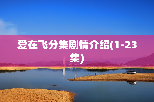 爱在飞分集剧情介绍(1-23集)