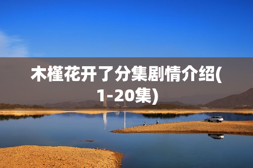 木槿花开了分集剧情介绍(1-20集) 木槿花开了分集剧情介绍(1-20集)