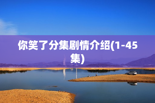 你笑了分集剧情介绍(1-45集)