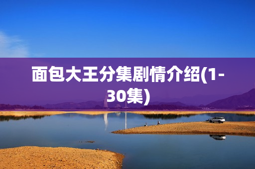 面包大王分集剧情介绍(1-30集)