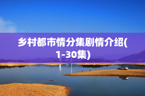 乡村都市情分集剧情介绍(1-30集)