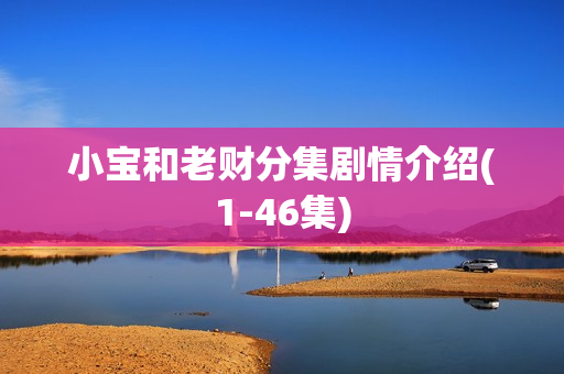 小宝和老财分集剧情介绍(1-46集)