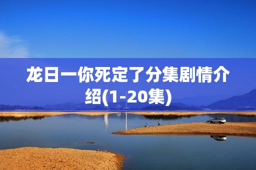 龙日一你死定了分集剧情介绍(1-20集)