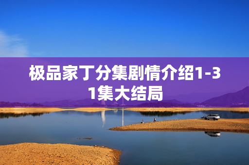 极品家丁分集剧情介绍1-31集大结局