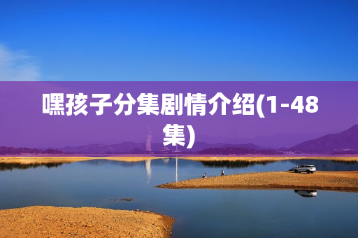 嘿孩子分集剧情介绍(1-48集)