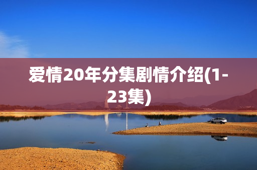 爱情20年分集剧情介绍(1-23集)
