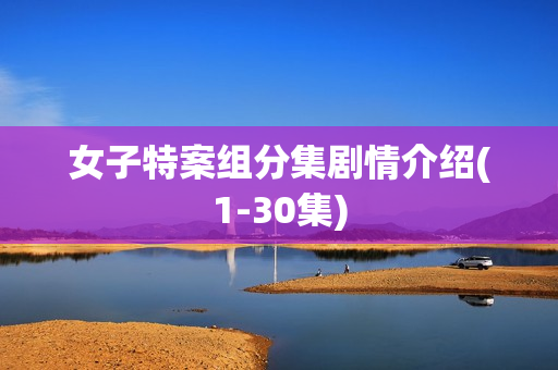 女子特案组分集剧情介绍(1-30集)