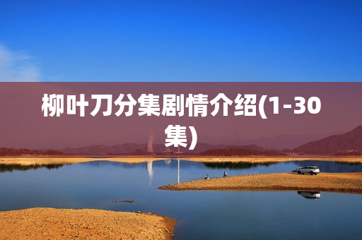 柳叶刀分集剧情介绍(1-30集) 柳叶刀分集剧情介绍(1-30集)