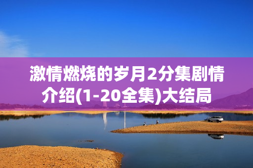 激情燃烧的岁月2分集剧情介绍(1-20全集)大结局