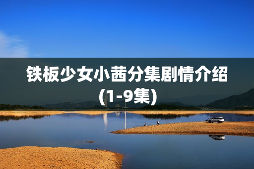 铁板少女小茜分集剧情介绍(1-9集)